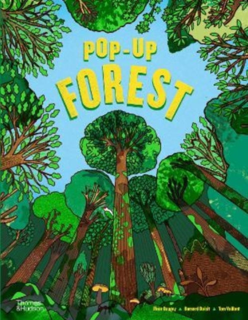 Book cover of: Pop-Up Forest. By: Bernard Duisit