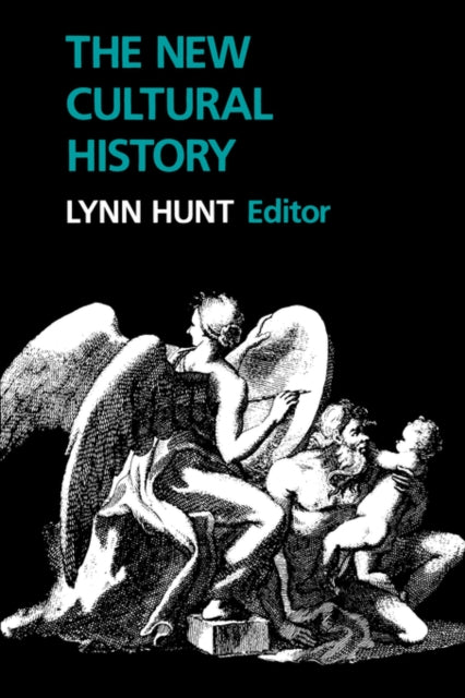 Book cover of: New Cultural History