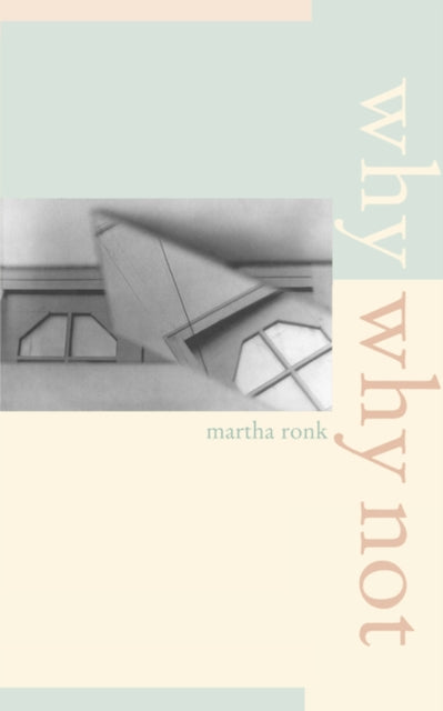 Book cover of: Why/Why Not