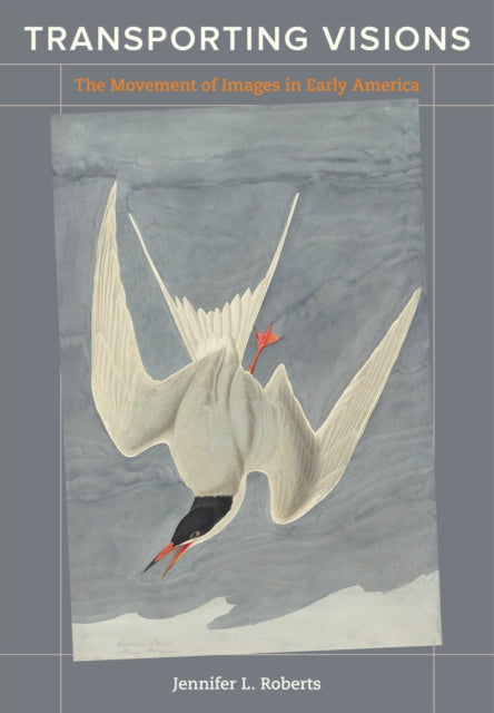 Book cover of: Transporting Visions. By: Jennifer L. Roberts