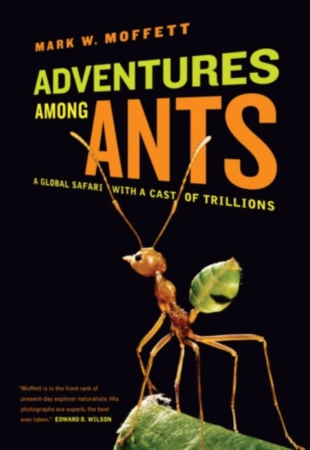 Book cover of: Adventures among Ants. By: Mark W. Moffett