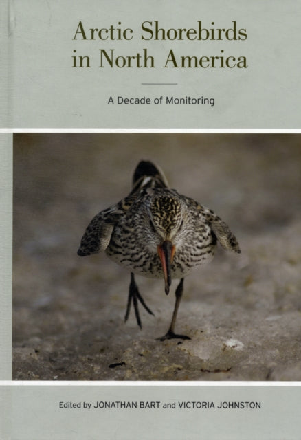 Book cover of: Arctic Shorebirds in North America. By: Jonathan Bart