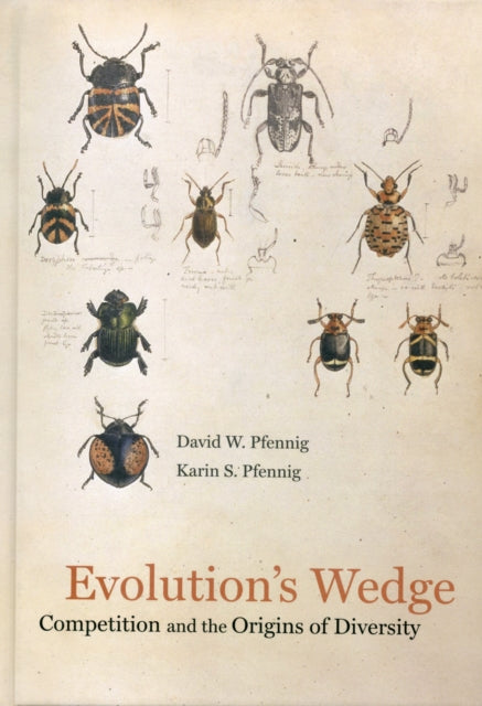 Book cover of: Evolution's Wedge. By: David W. Pfennig