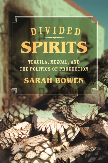 Book cover of: Divided Spirits. By: Sarah Bowen