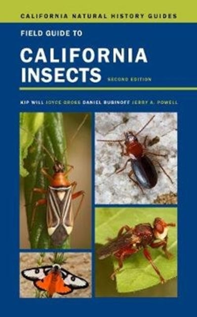 Book cover of: Field Guide to California Insects. By: Kip Will