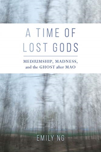Book cover of: Time of Lost Gods. By: Emily Ng
