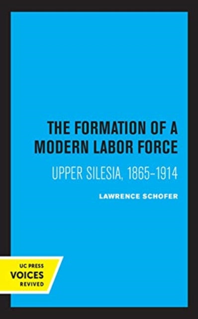 Book cover of: Formation of a Modern Labor Force. By: Lawrence Schofer