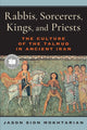 Book cover of: Rabbis, Sorcerers, Kings, and Priests. By: Jason Sion Mokhtarian