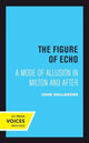 Book cover of: Figure of Echo. By: John Hollander