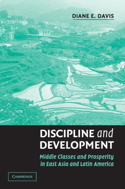 Book cover of: Discipline and Development. By: Diane E. Davis