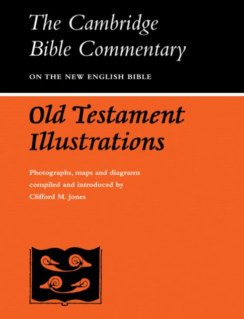 Book cover of: Old Testament Illustrations. By: Clifford M. Jones