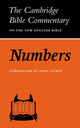 Book cover of: Numbers