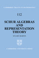 Book cover of: Schur Algebras and Representation Theory. By: Stuart Martin