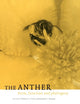 Book cover of: Anther. By: Japan) International Botanical Congress (1993 Yokohama-shi