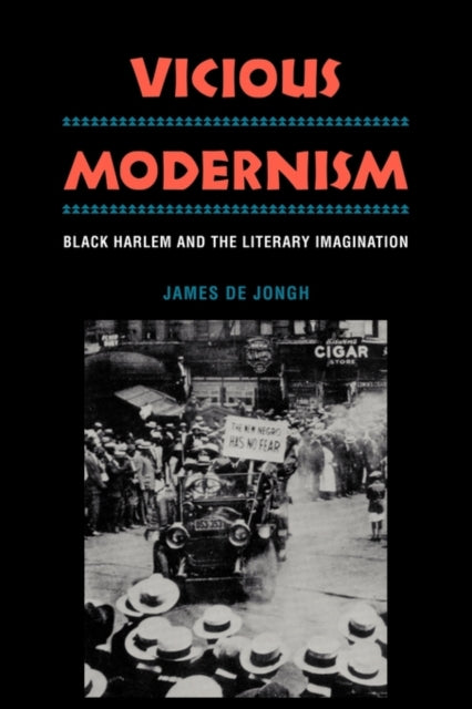 Book cover of: Vicious Modernism. By: James de Jongh