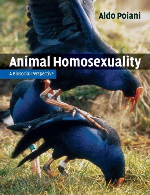 Book cover of: Animal Homosexuality. By: Aldo Poiani