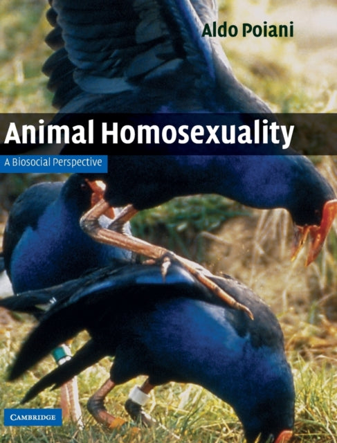Book cover of: Animal Homosexuality. By: Aldo Poiani