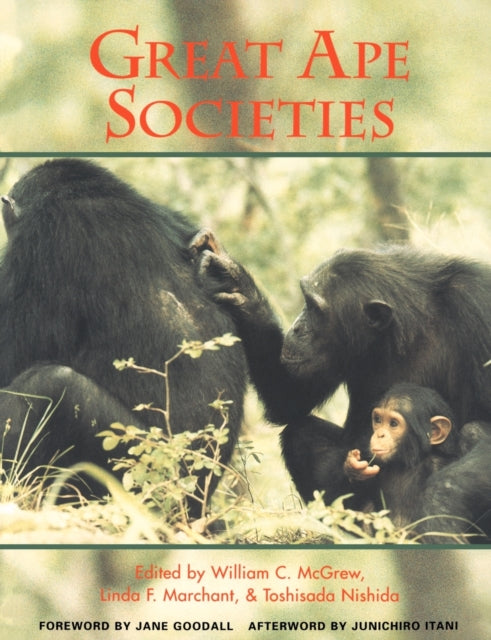 Book cover of: Great Ape Societies