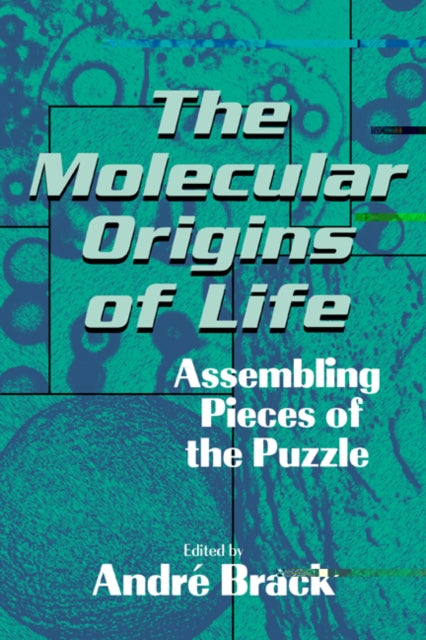 Book cover of: Molecular Origins of Life. By: Andri Brack