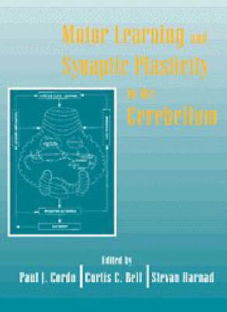 Book cover of: Motor Learning and Synaptic Plasticity in the Cerebellum