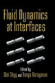 Book cover of: Fluid Dynamics at Interfaces