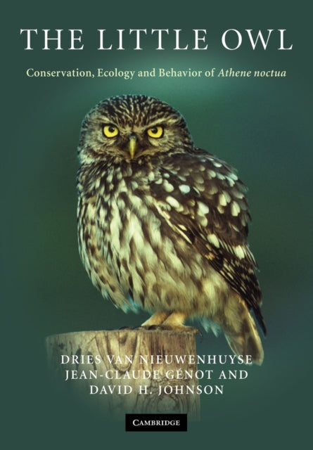 Book cover of: Little Owl. By: Dries Van Nieuwenhuyse