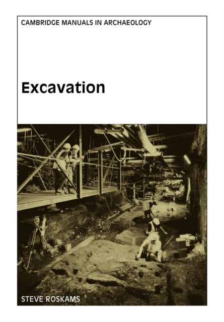 Book cover of: Excavation