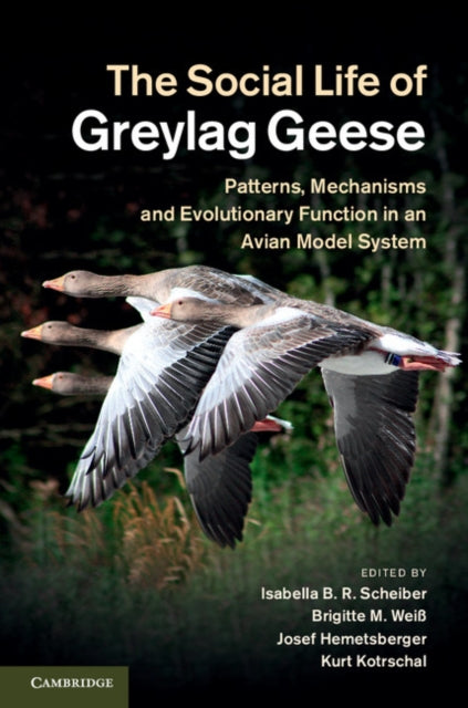 Book cover of: Social Life of Greylag Geese. By: Isabella B. R. Scheiber