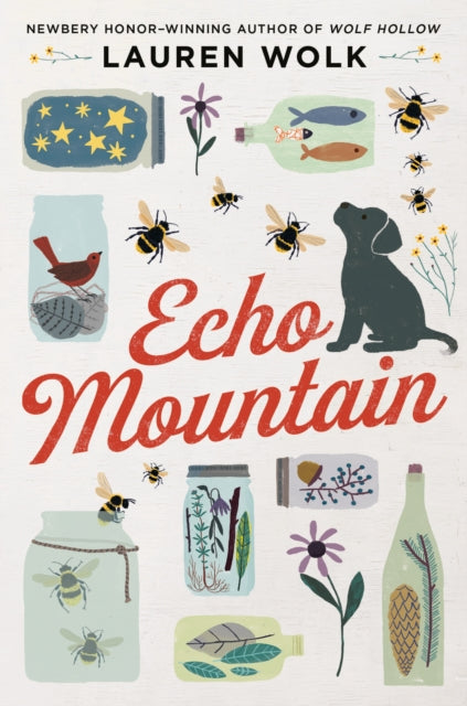Book cover of: Echo Mountain. By: Lauren Wolk