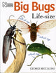 Book cover of: Big Bugs Life-Size