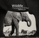 Book cover of: Wildlife Photographer of the Year: Portfolio 25. By: Rosamund Kidman Cox