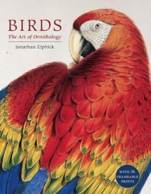 Book cover of: Birds