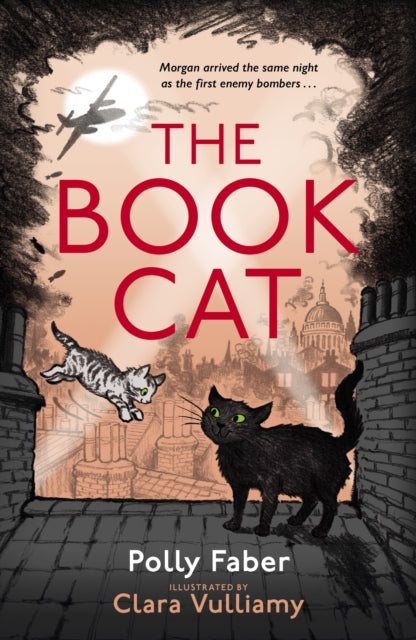 Book cover of: Book Cat. By: Polly Faber