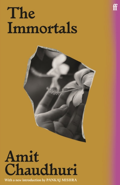 Book cover of: Immortals. By: Amit Chaudhuri