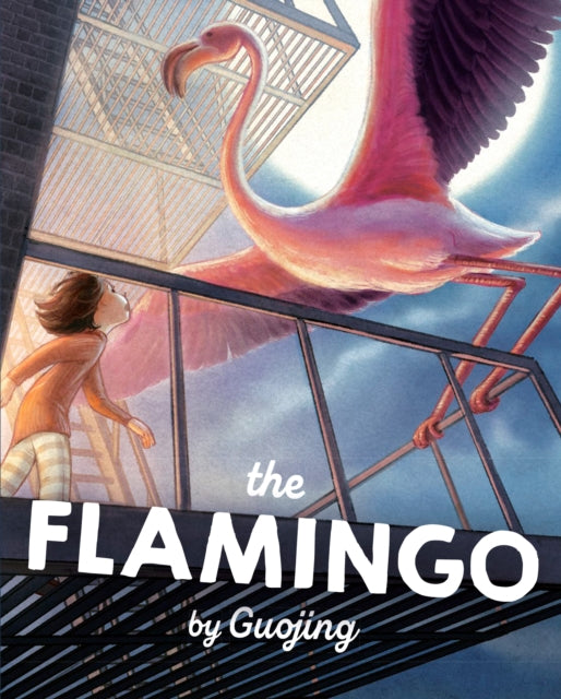 Book cover of: Flamingo. By: Guojing