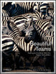 Book cover of: Beautiful Teams. By: Andrew Stellman