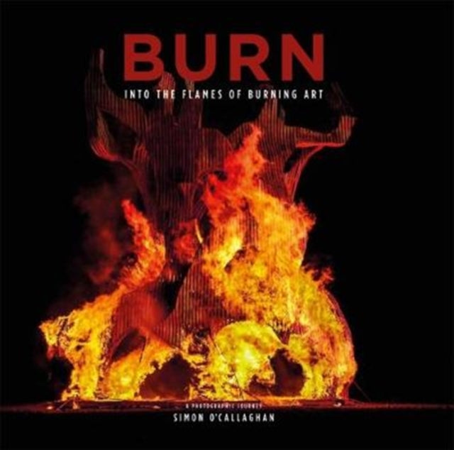 Book cover of: BURN