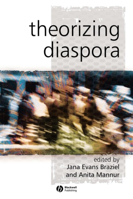 Book cover of: Theorizing Diaspora. By: Anita Mannur