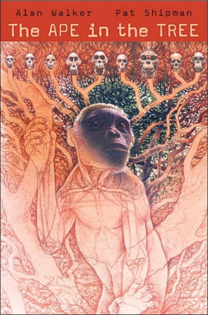 Book cover of: Ape in the Tree. By: Alan Walker