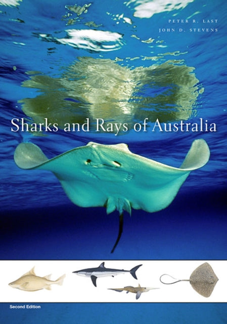 Book cover of: Sharks and Rays of Australia. By: P. R. Last