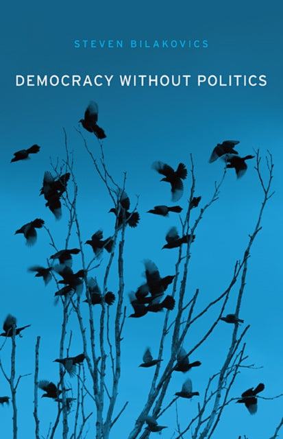 Book cover of: Democracy without Politics. By: Steven Bilakovics