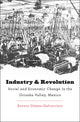 Book cover of: Industry and Revolution