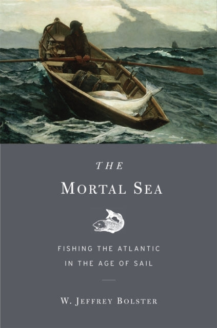 Book cover of: Mortal Sea. By: W. Jeffrey Bolster