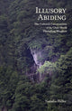 Book cover of: Illusory Abiding. By: Natasha Heller
