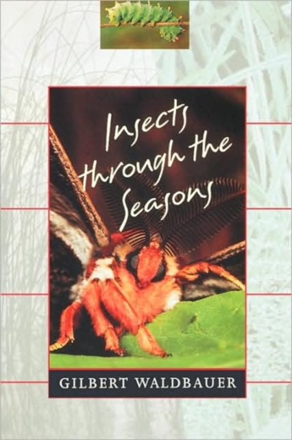 Book cover of: Insects through the Seasons. By: Gilbert Waldbauer
