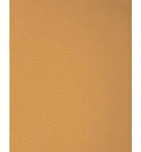 Book cover of: Insect Societies