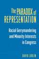 Book cover of: Paradox of Representation. By: David Lublin
