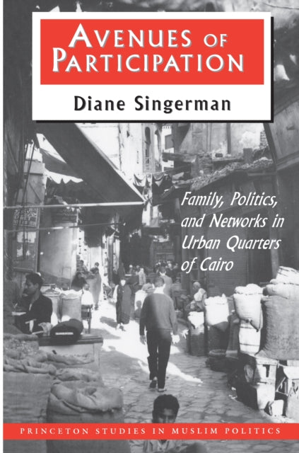 Book cover of: Avenues of Participation. By: Diane Singerman