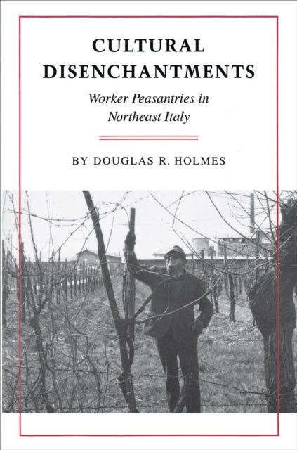 Book cover of: Cultural Disenchantments