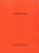 Book cover of: Surface Area. By: Lamberto Cesari